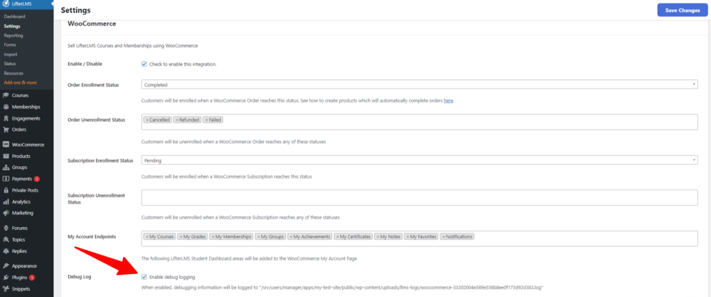 Enable Debug Logging