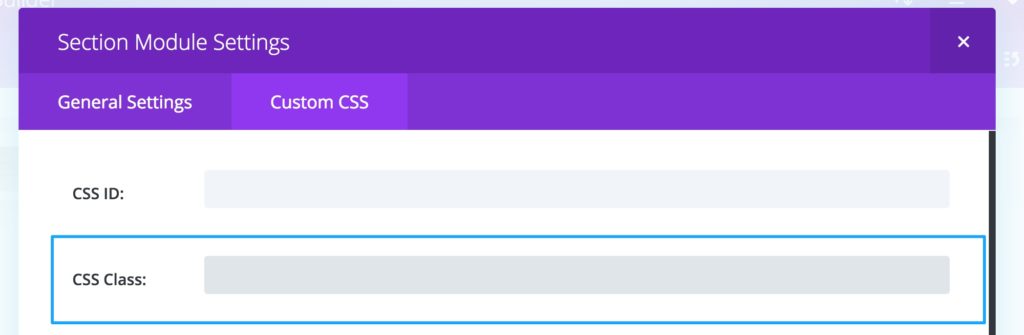 Divi section module custom css classes