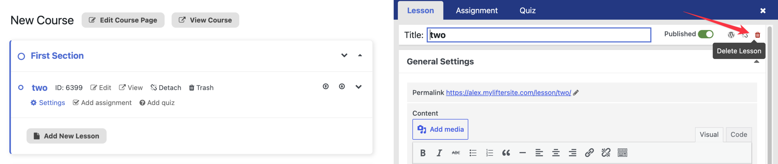 You can also open the lesson settings and click on the trash icon there to delete the lesson