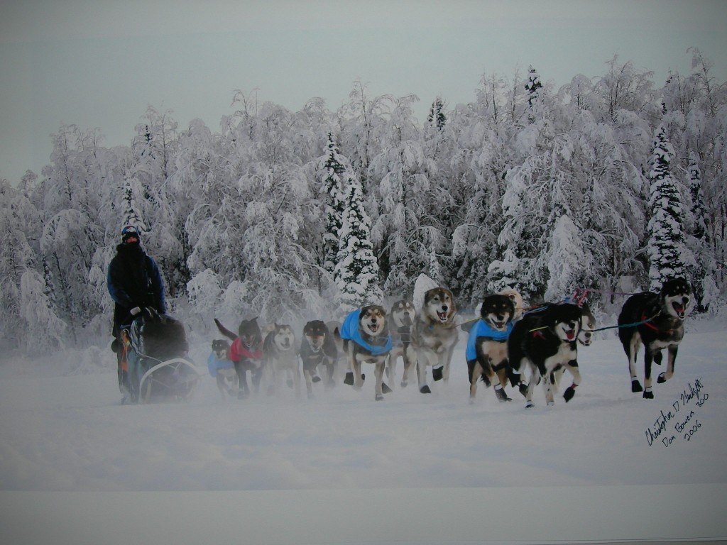 Chris Badgett mushing a team of sled dogs through a snowy forest landscape