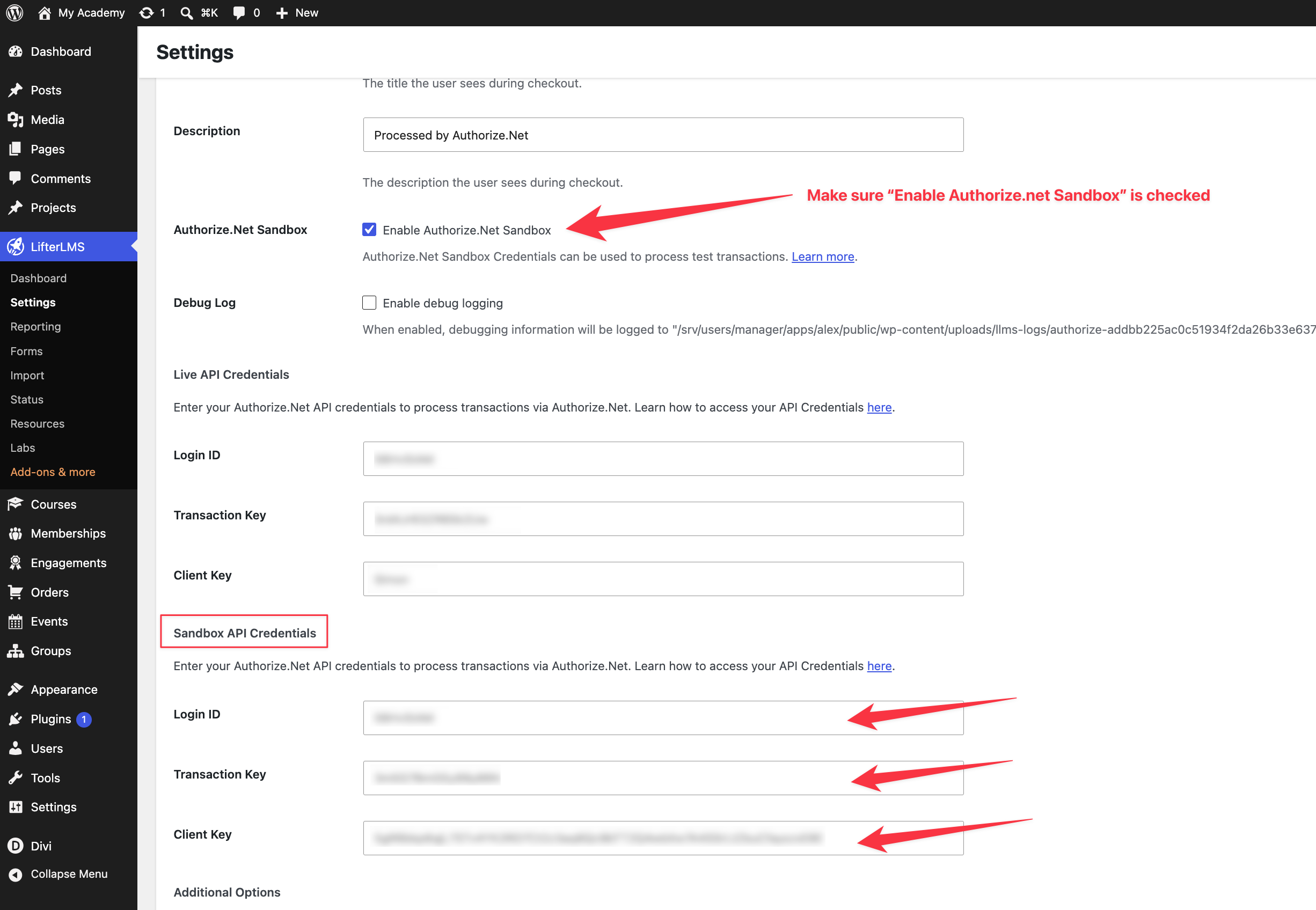Screenshot of the LifterLMS Authorize.Net settings showing the Sandbox API Credentials fields for Login ID, Transaction Key, and Client Key.