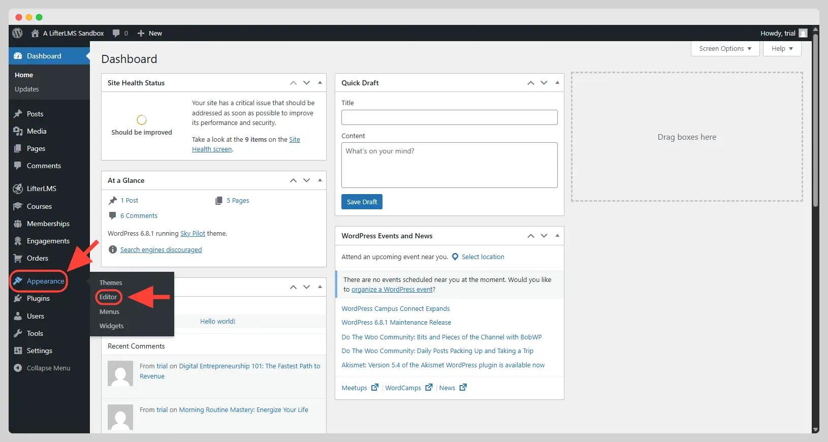 Navigating to Appearance Editor from the WordPress administration area