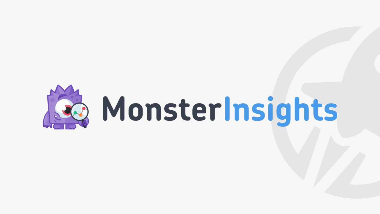 MonsterInsights
