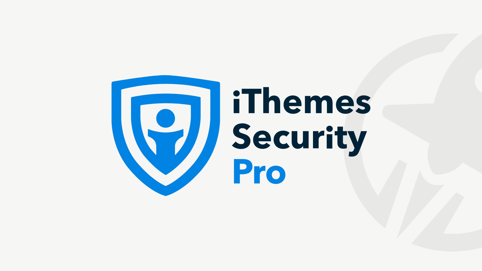 iThemes Security Pro