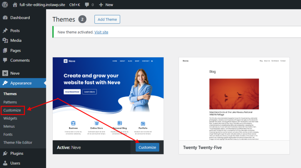 WordPress Themes screen showing the Customize option for a classic theme